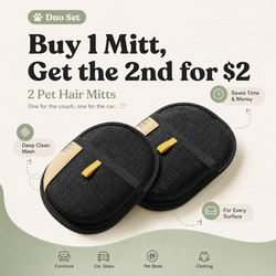 Fuwa Surface Mitt